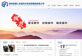 惠水城市开发投资集团有限公司